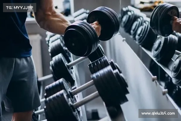 全面健身:打造理想体态的最新器械与训练方案 全面健身:打造理想体态的最新器械与训练方案